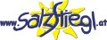 Logo ski resort Salzstiegl
