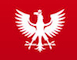 Logo ski resort Snow Card Tirol