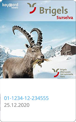 Liftticket Brigels Waltensburg Andiast