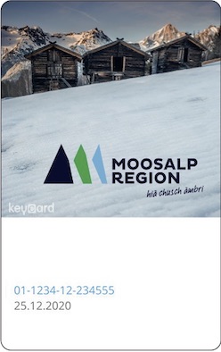 Liftticket Moosalpregion